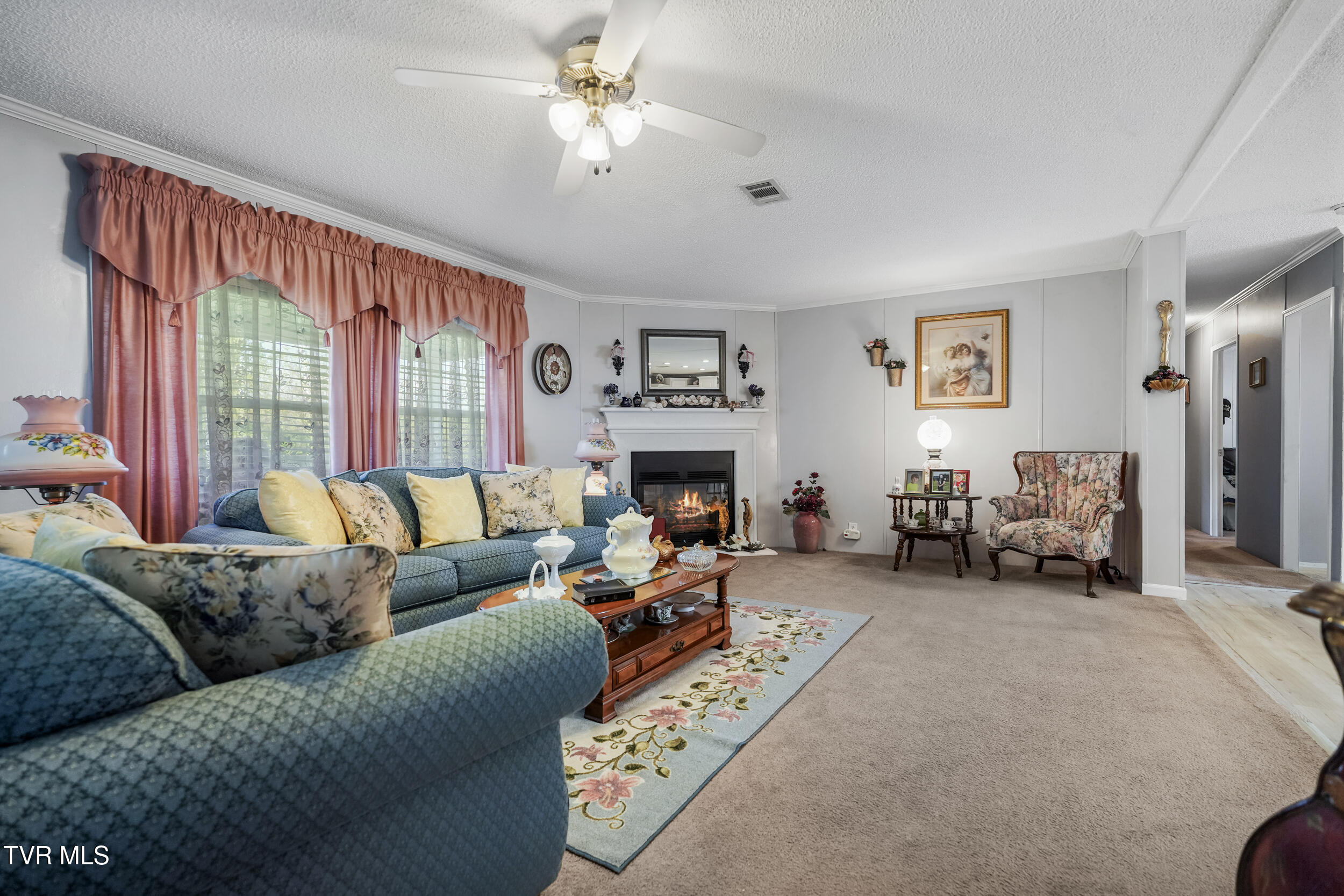 134 Shoemaker Lane, Church Hill, Tennessee image 7
