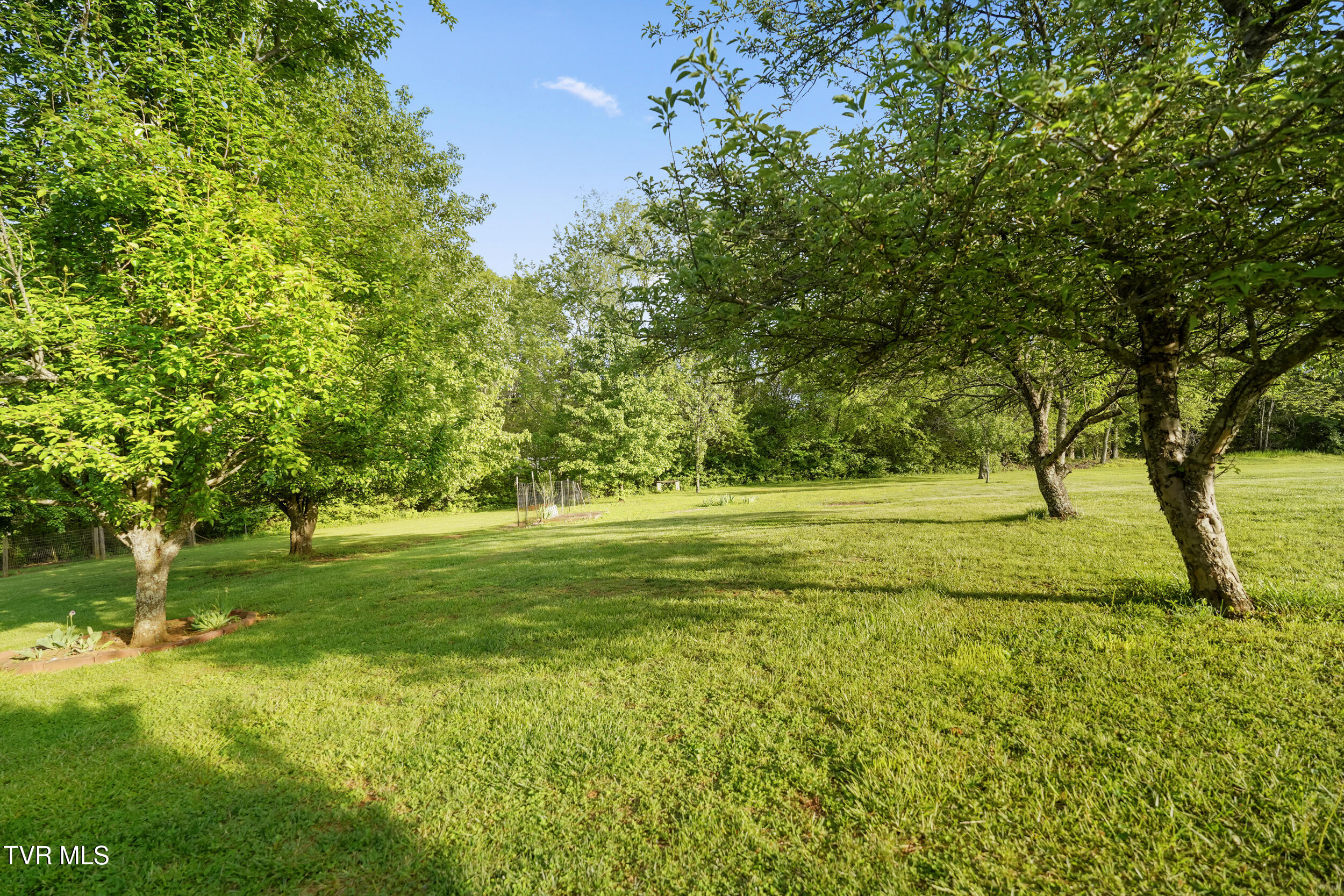 134 Shoemaker Lane, Church Hill, Tennessee image 36