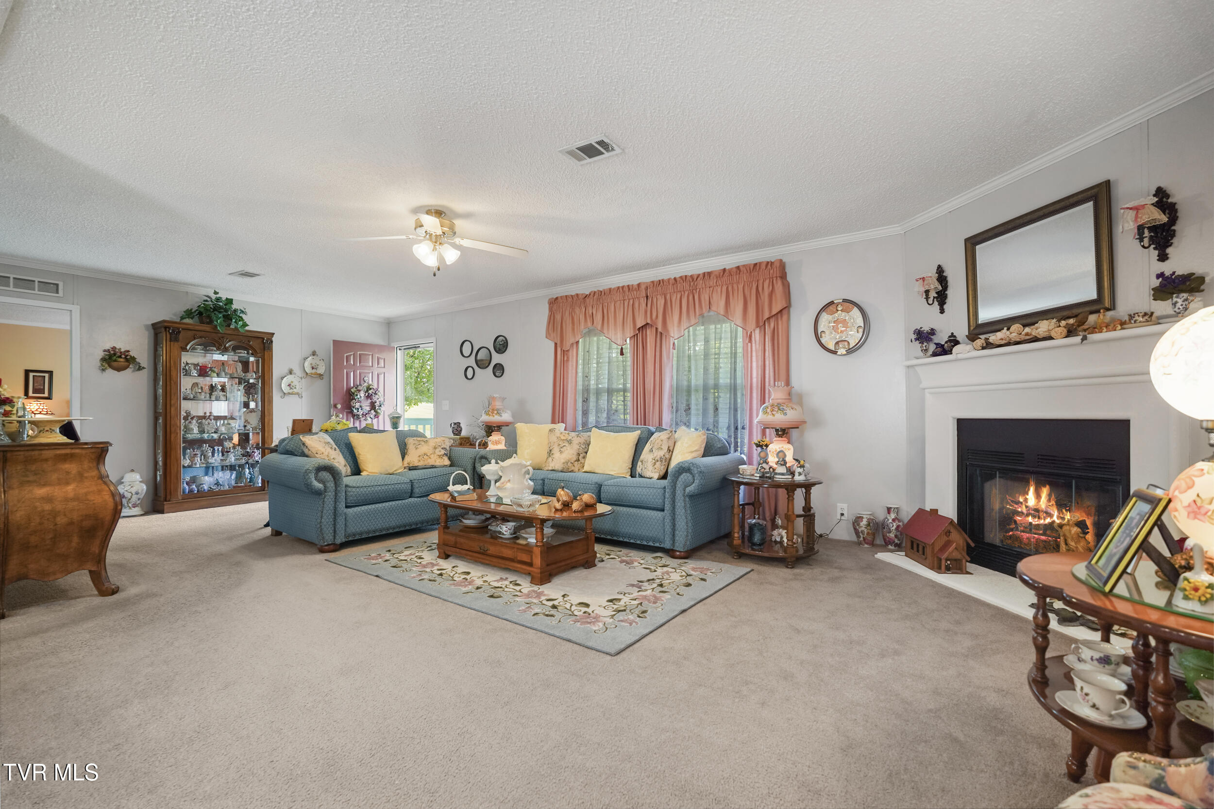 134 Shoemaker Lane, Church Hill, Tennessee image 9