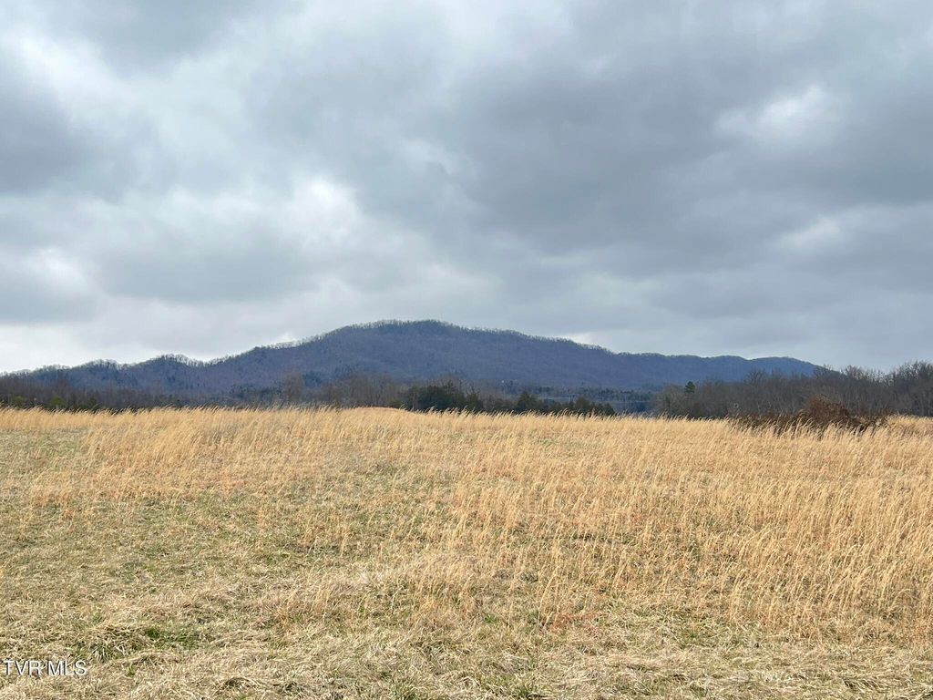 Photo of Tbd Brake Tree Lane, Greeneville, TN 37745 (MLS # 9991570)