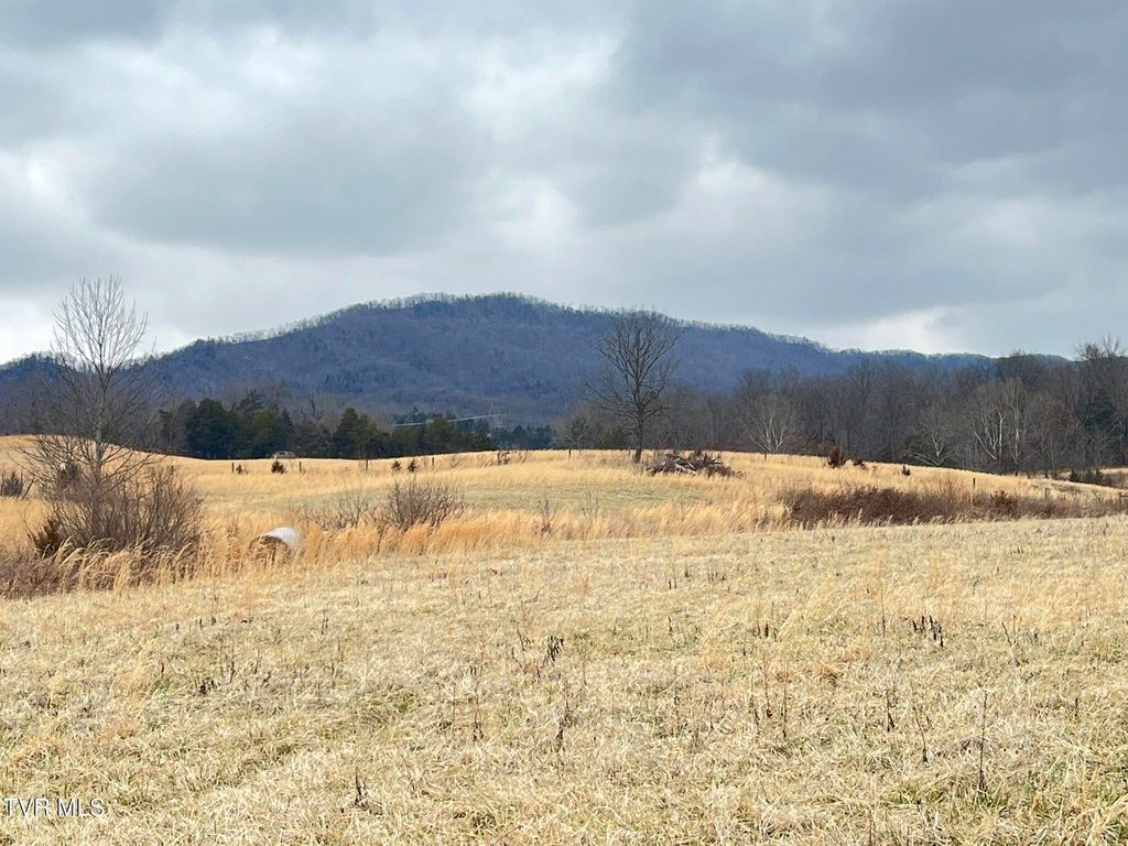 Photo of Tbd Brake Tree Lane, Greeneville, TN 37745 (MLS # 9991570)