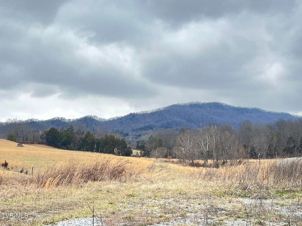 Photo of Tbd Brake Tree Lane, Greeneville, TN 37745 (MLS # 9991570)