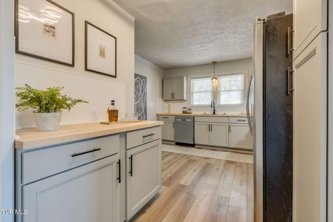 Tiny photo for 548 Floyd Street, Bristol, VA 24201 (MLS # 9986501)
