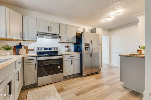 Tiny photo for 548 Floyd Street, Bristol, VA 24201 (MLS # 9986501)