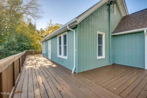 Tiny photo for 548 Floyd Street, Bristol, VA 24201 (MLS # 9986501)