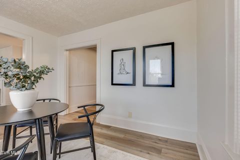 Tiny photo for 548 Floyd Street, Bristol, VA 24201 (MLS # 9986501)