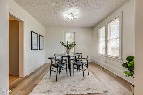 Tiny photo for 548 Floyd Street, Bristol, VA 24201 (MLS # 9986501)