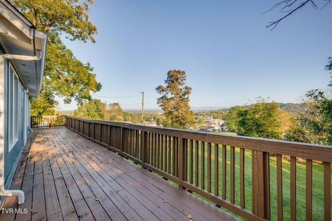 Tiny photo for 548 Floyd Street, Bristol, VA 24201 (MLS # 9986501)
