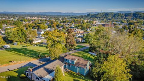 Tiny photo for 548 Floyd Street, Bristol, VA 24201 (MLS # 9986501)