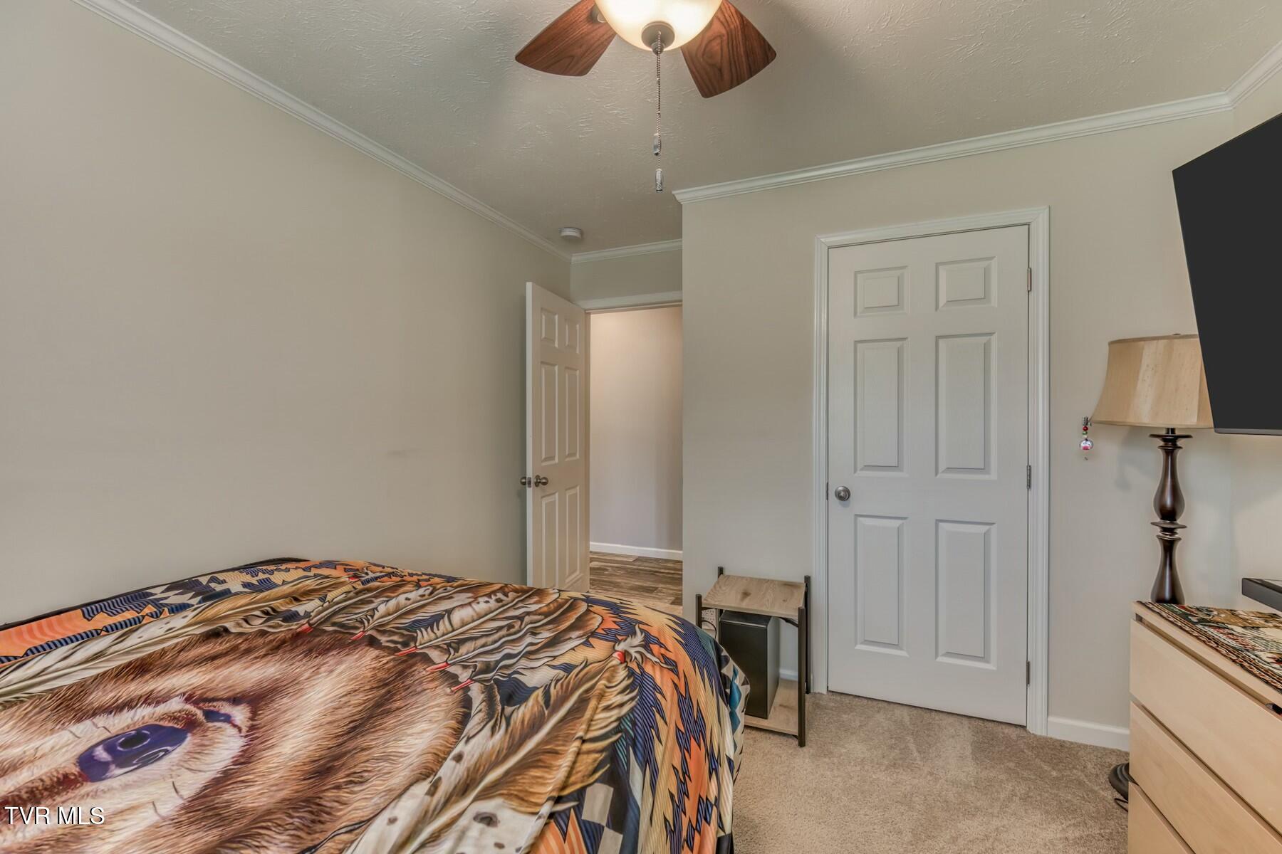1745 Audie Street, Kingsport, Tennessee image 23