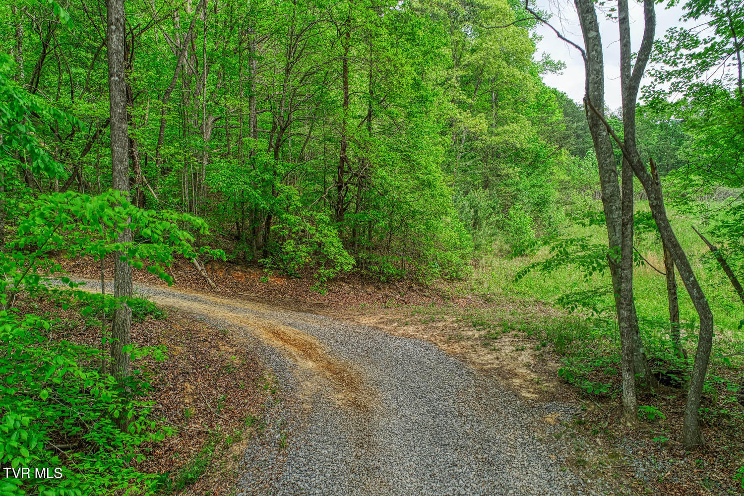 Tbd Seay Hollow Road, Bulls Gap, Tennessee image 12