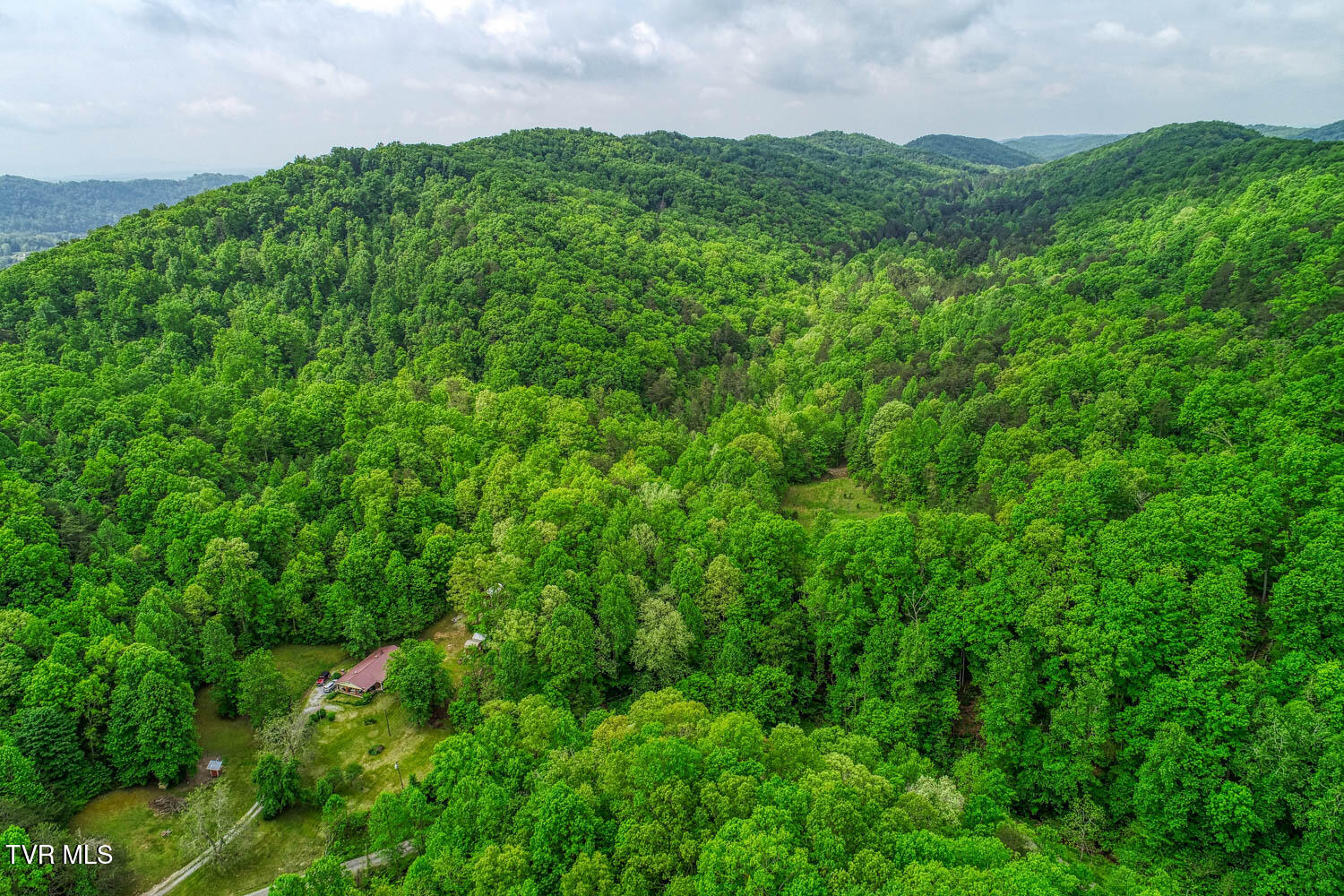 Tbd Seay Hollow Road, Bulls Gap, Tennessee image 10