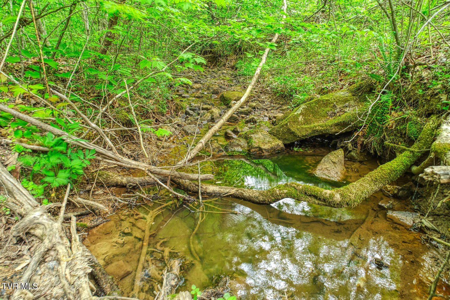 Tbd Seay Hollow Road, Bulls Gap, Tennessee image 20