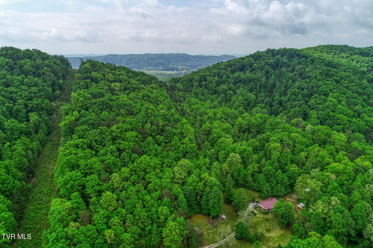 Tbd Seay Hollow Road, Bulls Gap, Tennessee image 11