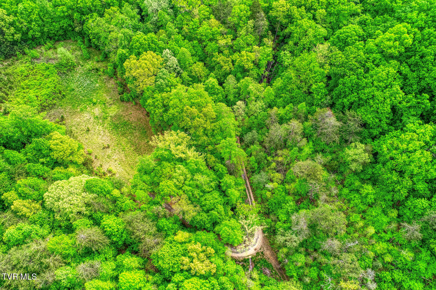 Tbd Seay Hollow Road, Bulls Gap, Tennessee image 5
