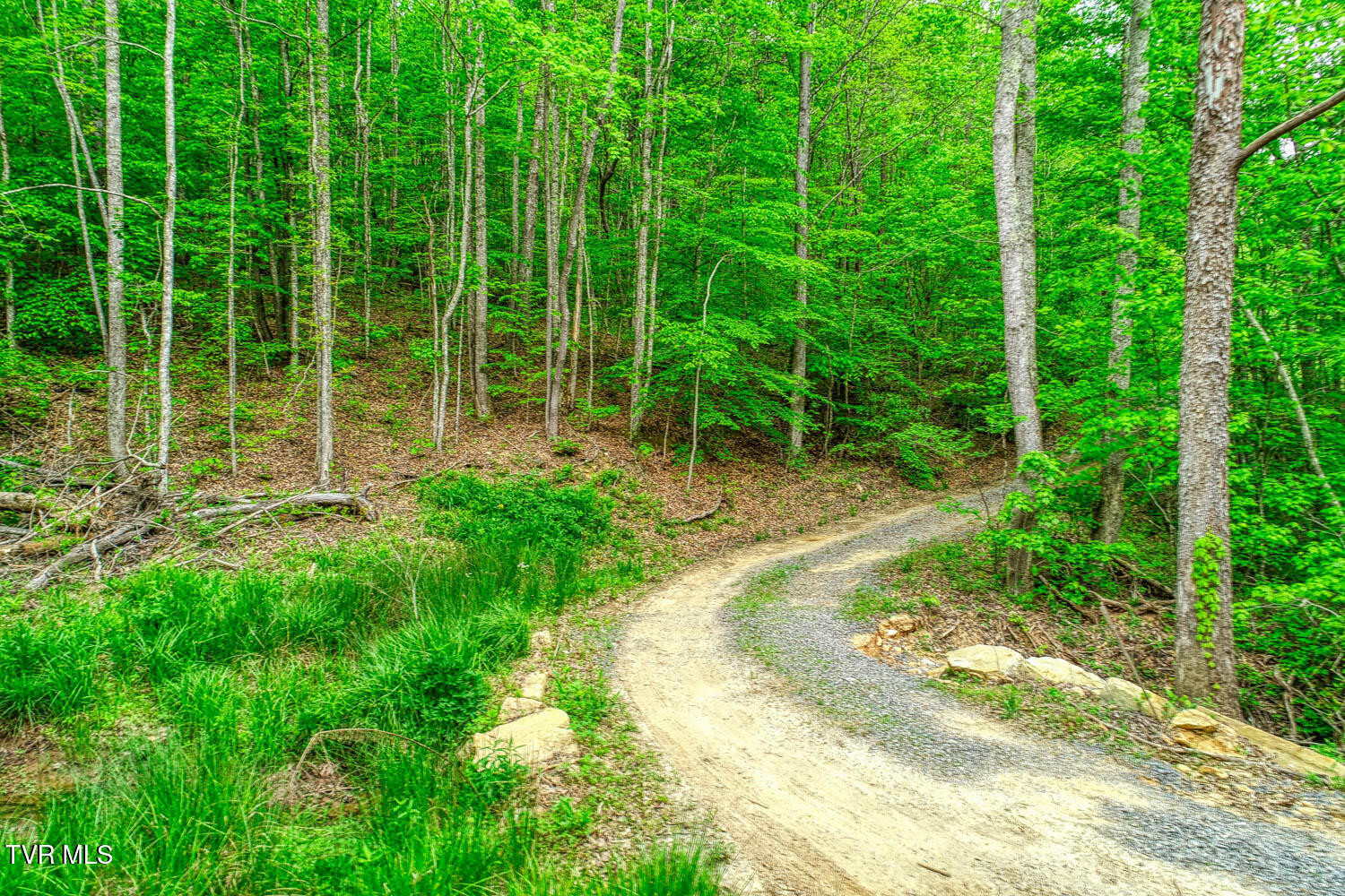 Tbd Seay Hollow Road, Bulls Gap, Tennessee image 19
