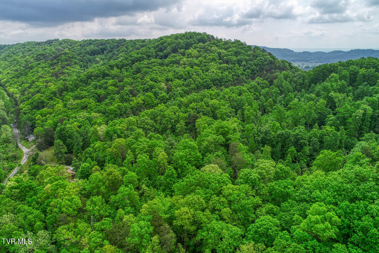 Tbd Seay Hollow Road, Bulls Gap, Tennessee image 30