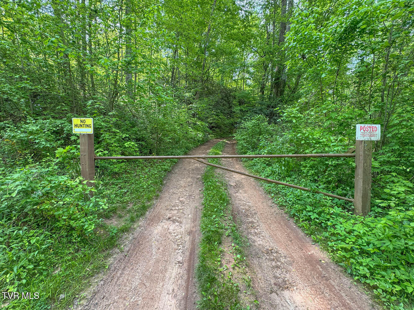 Tbd Seay Hollow Road, Bulls Gap, Tennessee image 31