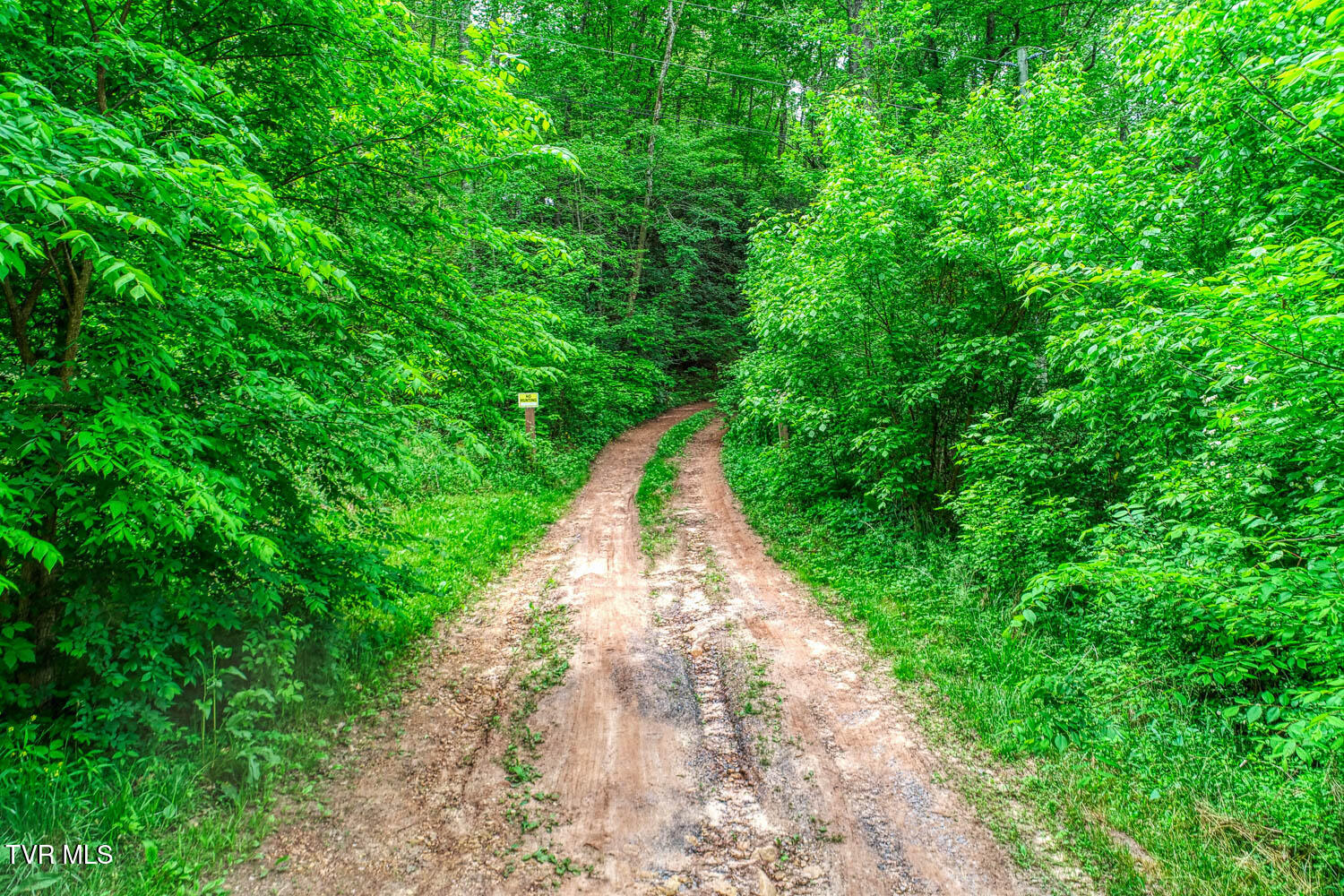 Tbd Seay Hollow Road, Bulls Gap, Tennessee image 21