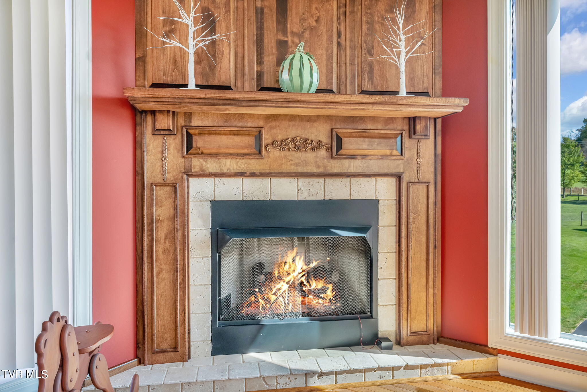 25092 Hillman Highway, Abingdon, Virginia image 29