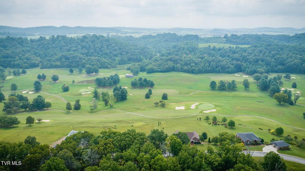 Photo of 41 Chimney Top Lane, Chuckey, TN 37641 (MLS # 9987464)