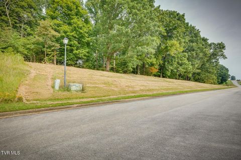 Vacant Land For Sale - LOT 41 Chimney Top Lane<br/> Chuckey, TN 37641