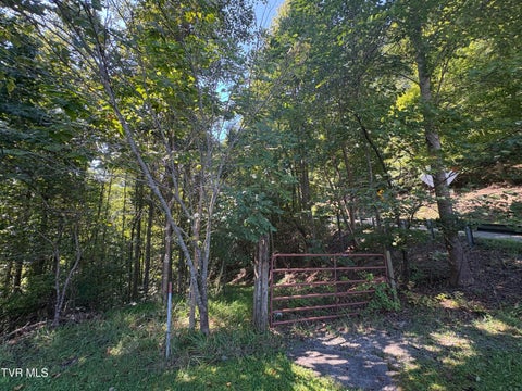 Vacant Land For Sale - 4032 The Lake Road<br/> Clintwood, VA 24228