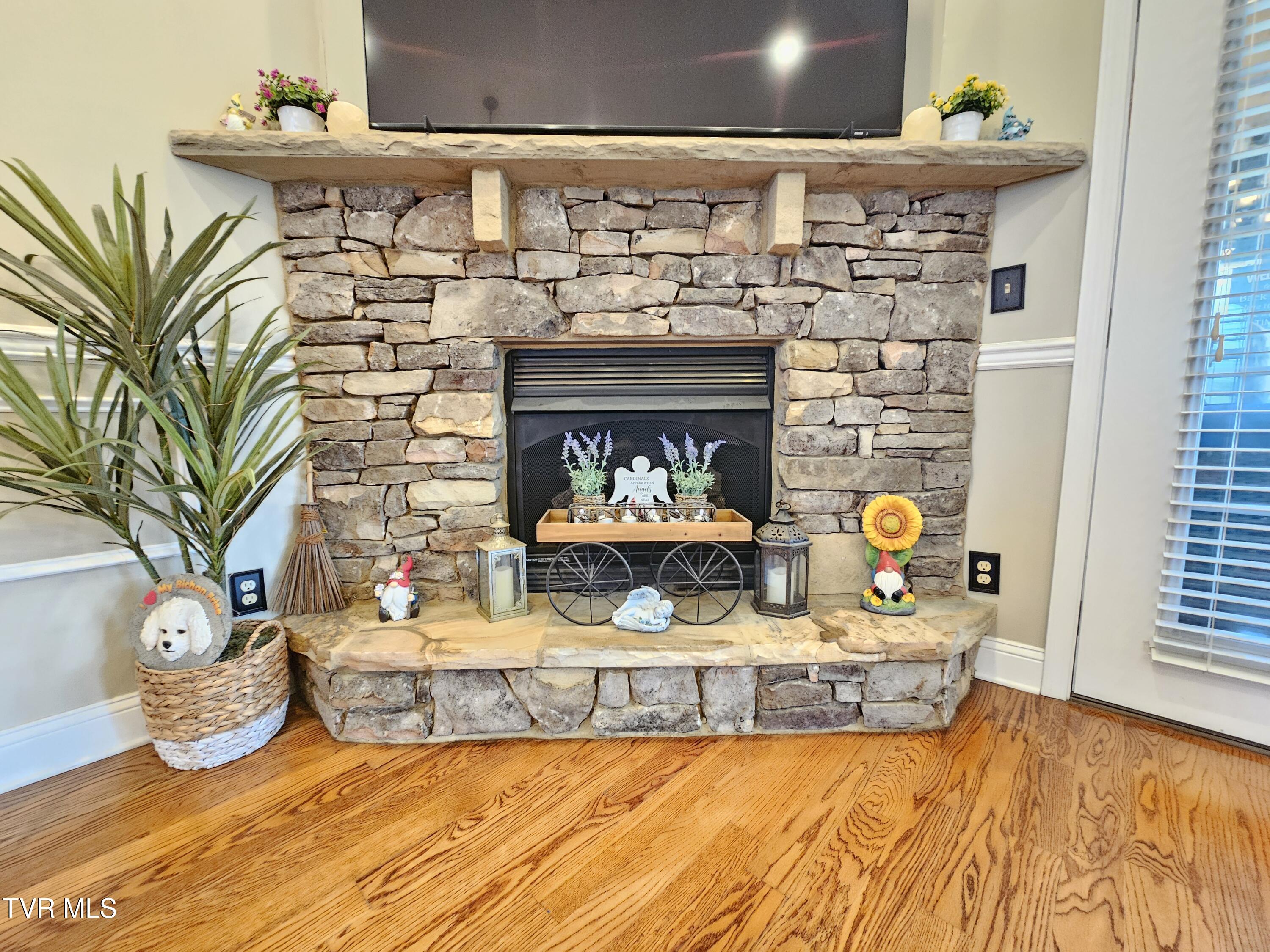 1211 Downing Place, Kingsport, Tennessee image 12