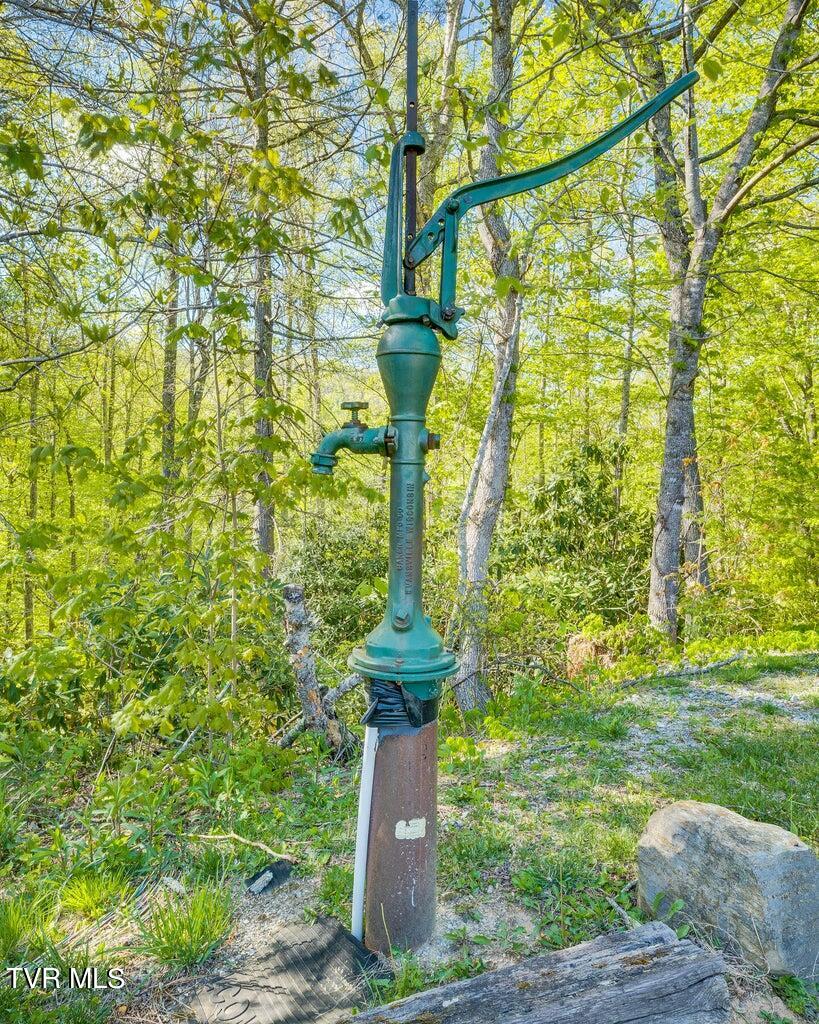 143 Horseshoe Lane, Roan Mountain, Tennessee image 47