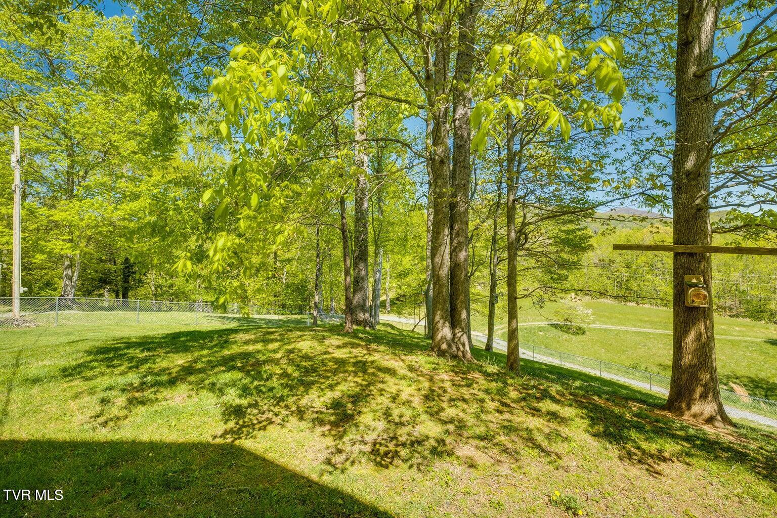 143 Horseshoe Lane, Roan Mountain, Tennessee image 38