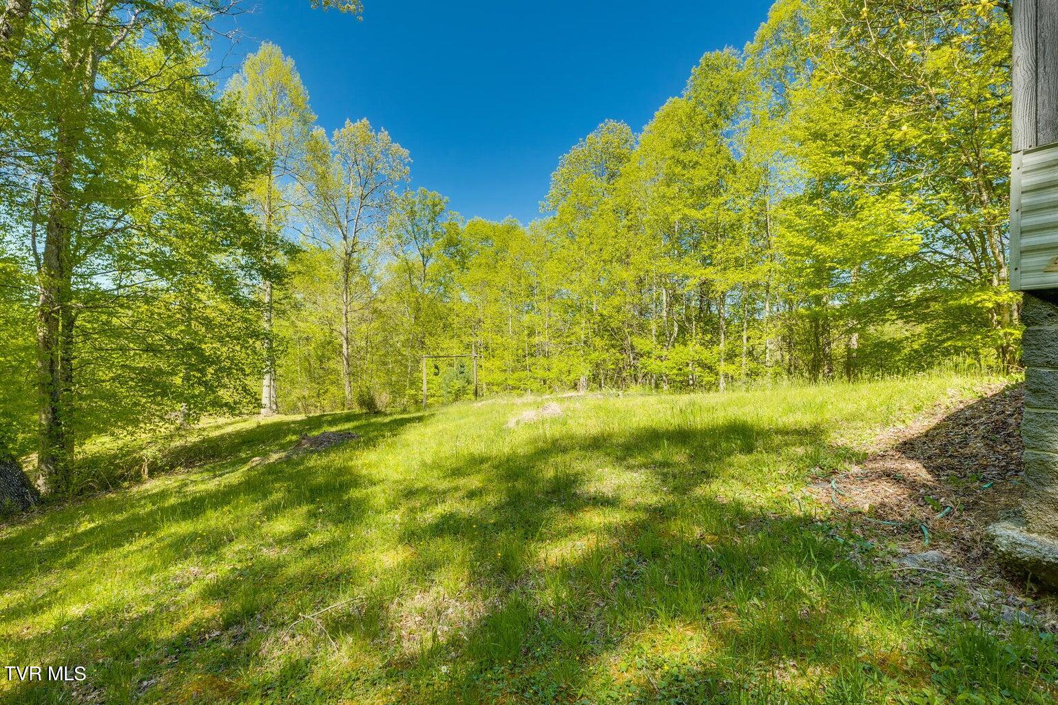 143 Horseshoe Lane, Roan Mountain, Tennessee image 48