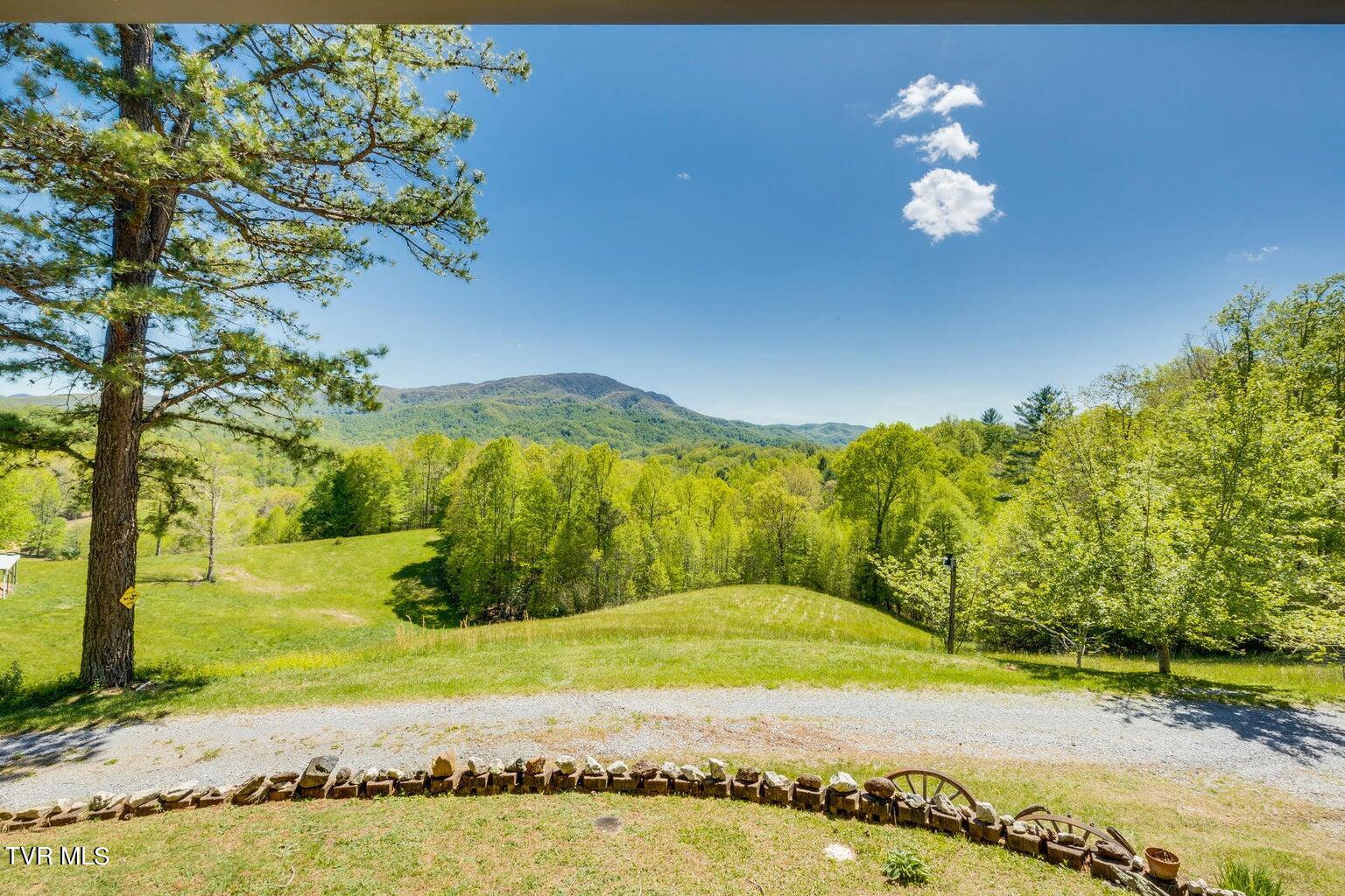143 Horseshoe Lane, Roan Mountain, Tennessee image 10
