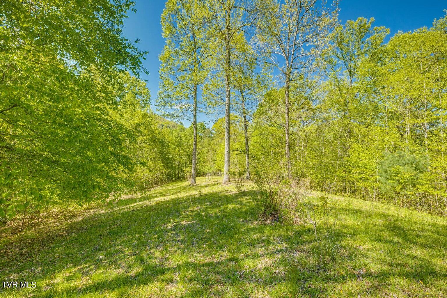 143 Horseshoe Lane, Roan Mountain, Tennessee image 49