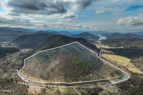 Vacant Land For Sale - 9613 Roan Creek Road<br/> Johnson County, Butler, TN 37640