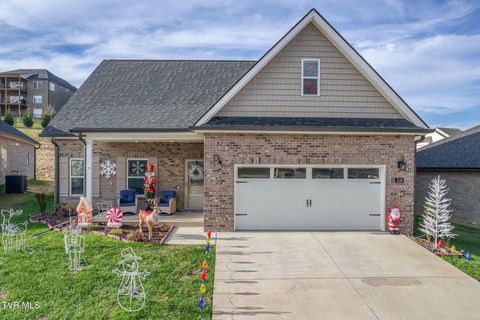 Photo of 226 Quiet Stroll Lane, Gray, TN 37615 (MLS # 9988924)