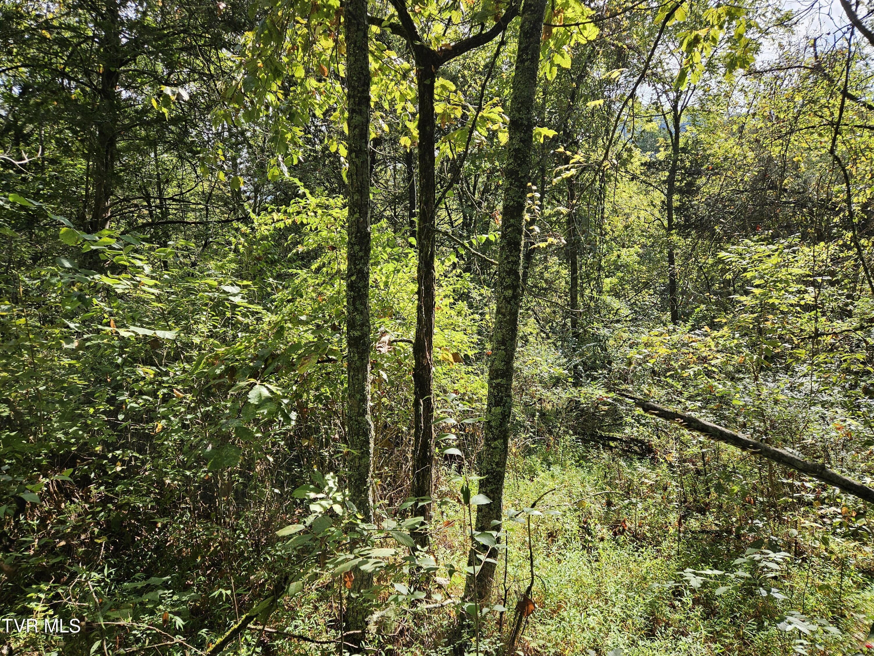 Tbd Highway 70, Rogersville, Tennessee image 1