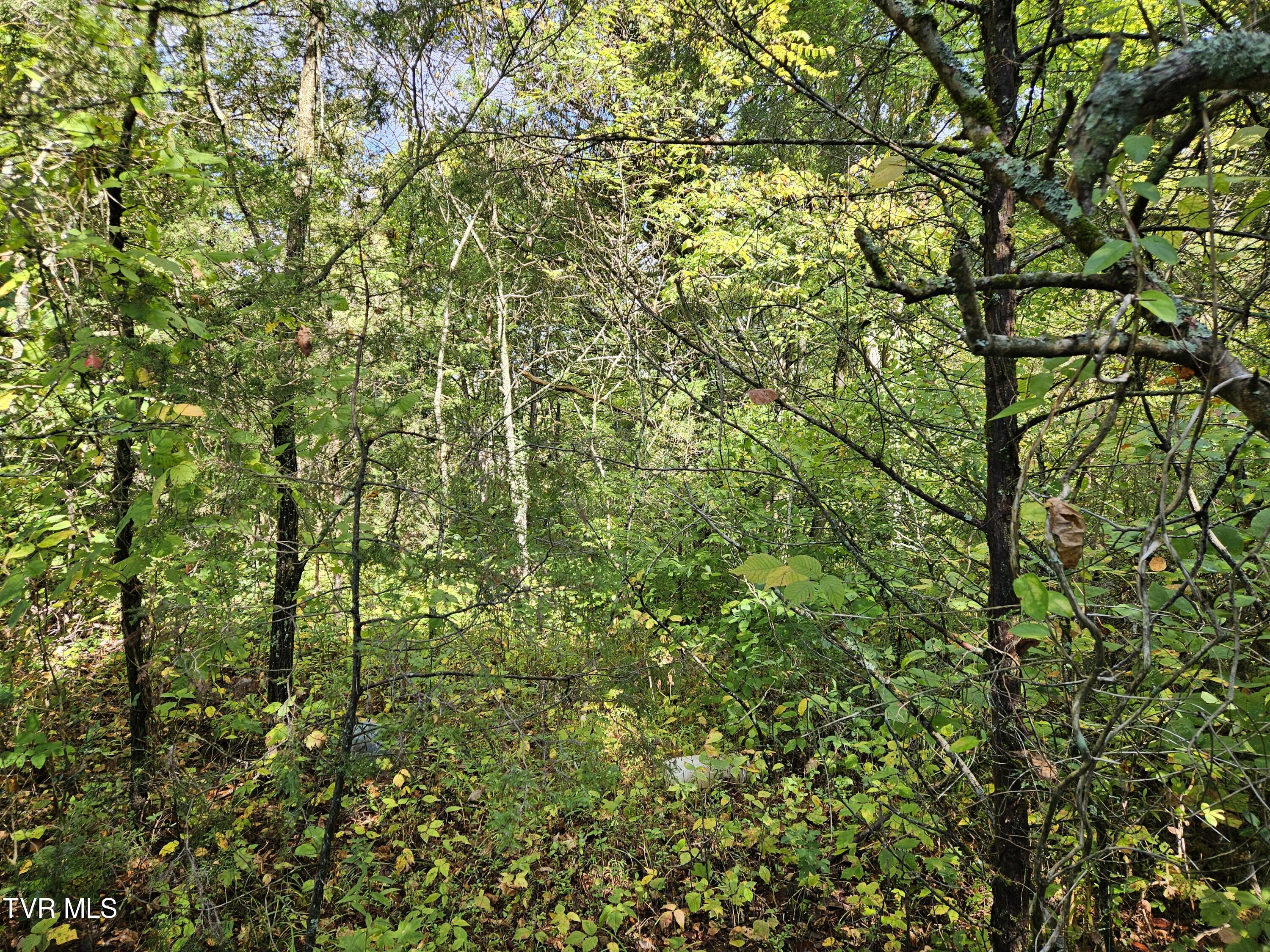 Tbd Highway 70, Rogersville, Tennessee image 3