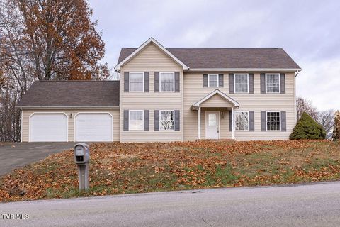 Photo of 109 Leedy Lane, Jonesborough, TN 37659 (MLS # 9988691)
