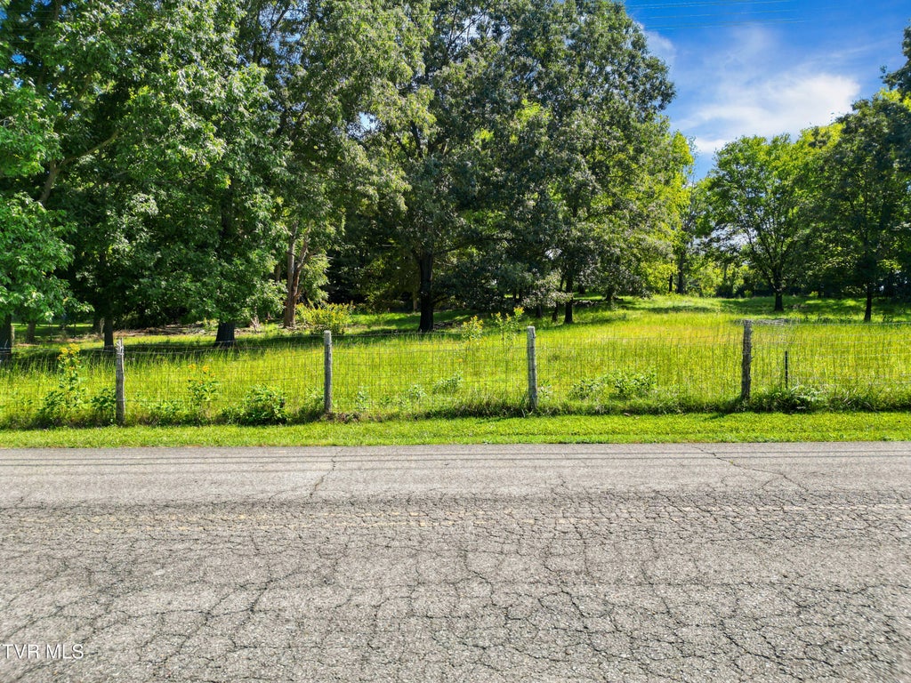 Photo of Tbd Meadowbrook Road, Afton, TN 37616 (MLS # 10001144)