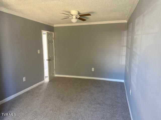 2021 Windsor Avenue, Bristol, Tennessee image 9