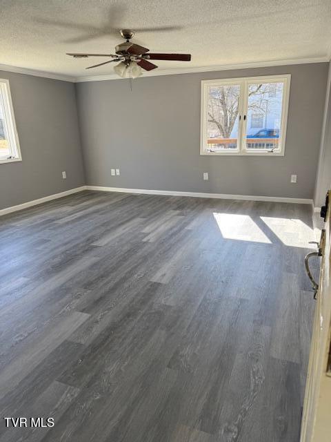 2021 Windsor Avenue, Bristol, Tennessee image 6