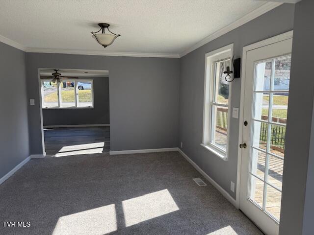 2021 Windsor Avenue, Bristol, Tennessee image 7