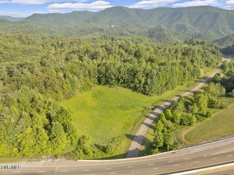 Vacant Land For Sale - TBD Clear Branch Rd<br/> Unicoi County, Erwin, TN 37650