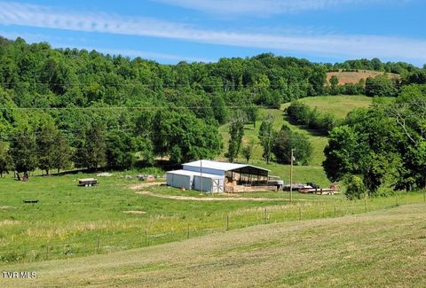 Vacant Land For Sale - TBD Grassy Valley Road<br/> Whitesburg, TN 37891