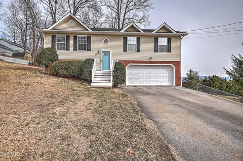 Photo of 318 Webb Road, Piney Flats, TN 37686 (MLS # 9990696)