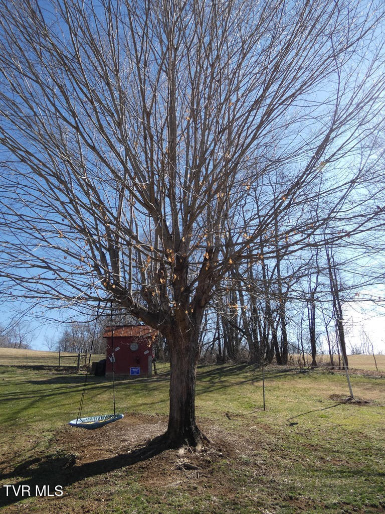 10351 Forest Hill Drive, Glade Spring, Virginia image 25