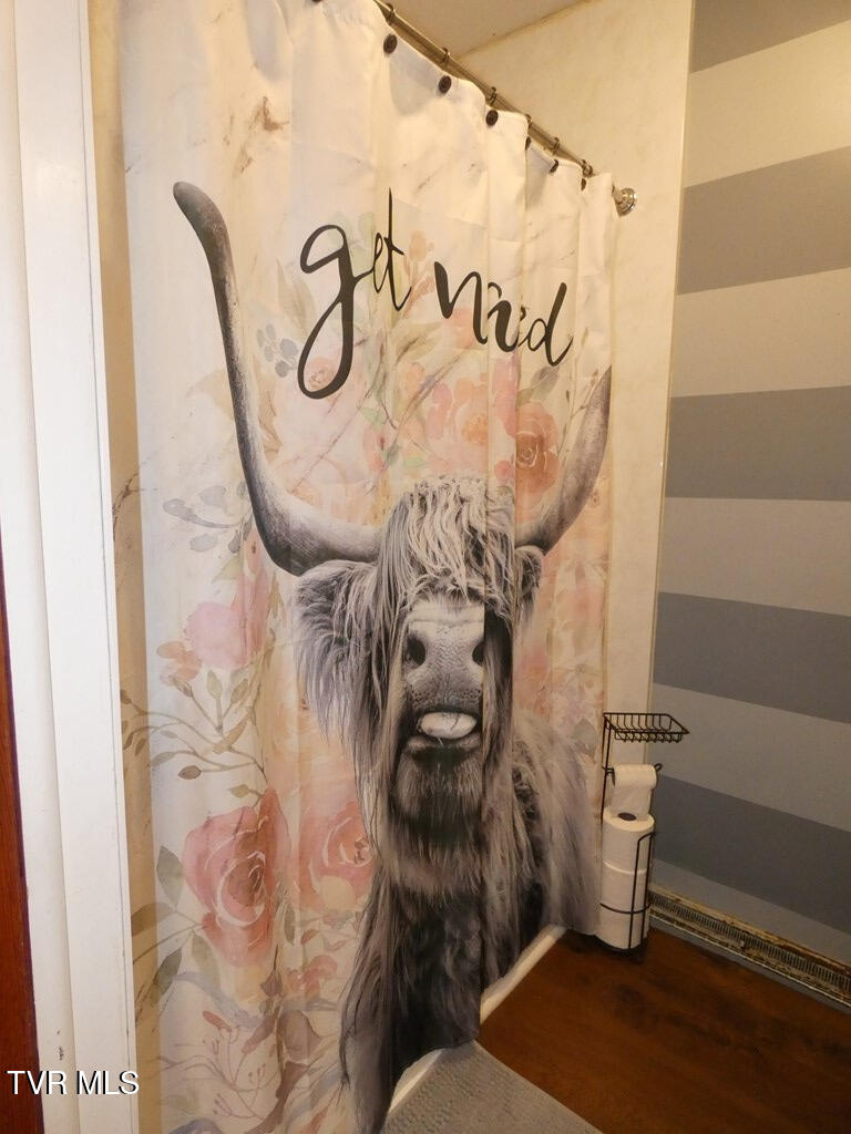 10351 Forest Hill Drive, Glade Spring, Virginia image 11