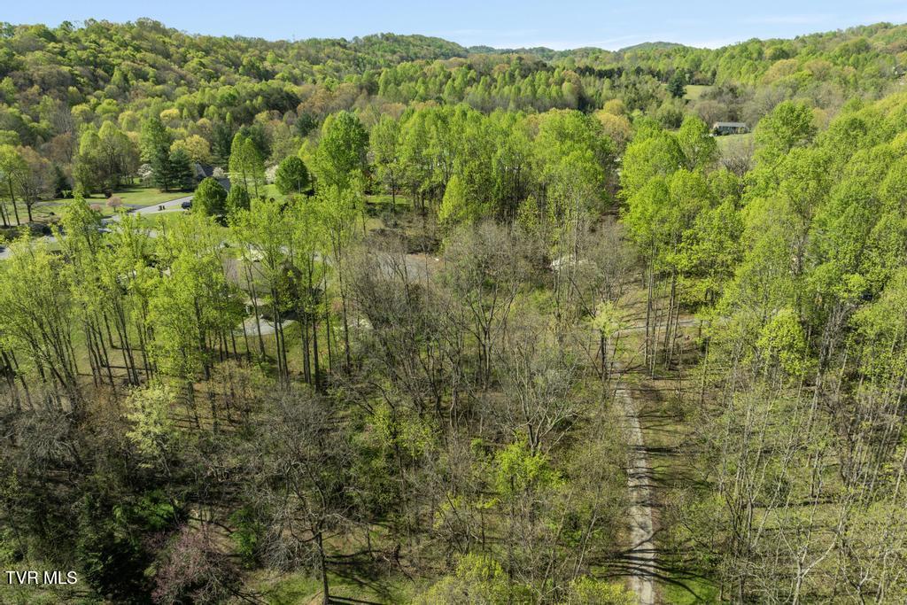 310 Mitchell Court, Jonesborough, Tennessee image 7