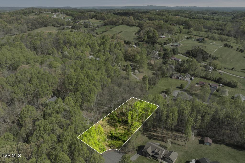310 Mitchell Court, Jonesborough, Tennessee image 21