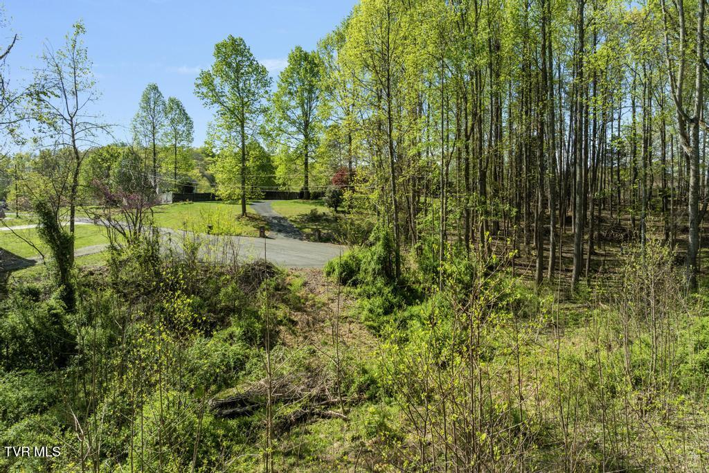 310 Mitchell Court, Jonesborough, Tennessee image 2